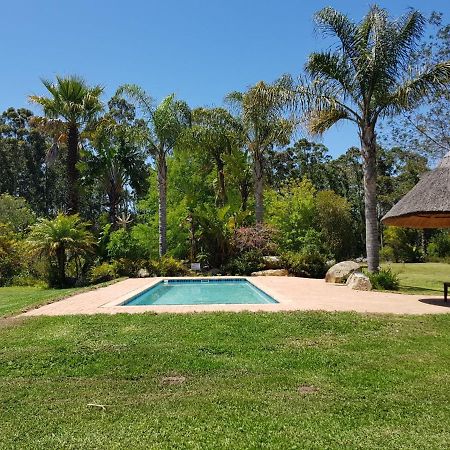 Coral Tree Cottages Harkerville Exterior foto